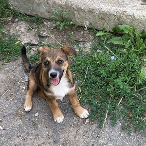 Meet your Posher, Fionas